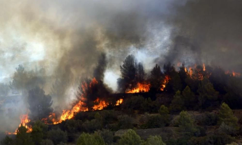 Ισπανία: Καίγεται για 5η μέρα η χώρα - Εκκενώνονται 2 πόλεις